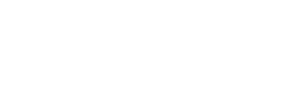 Global Executive Academy